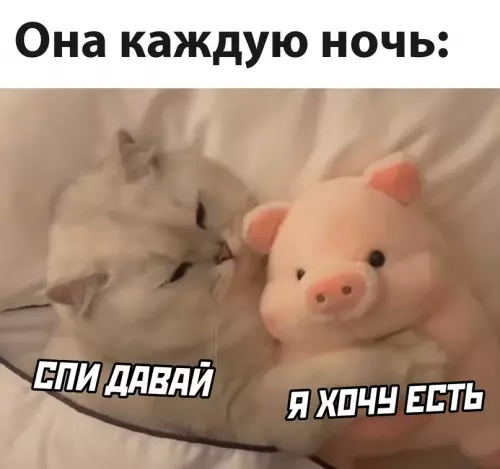 Смешная картинка №630985