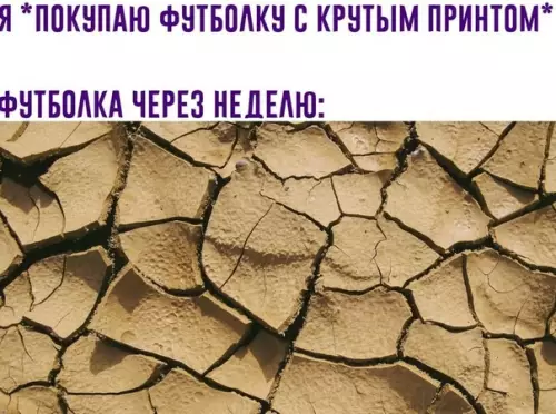 Смешная картинка №565823