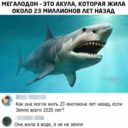 Смешная картинка №484440