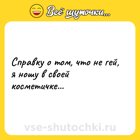 Шутка: Справку о том, что не гей, я ношу в своей косметичке...
