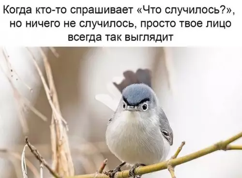 Смешная картинка №260918