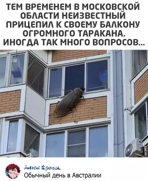 Смешная картинка №575955