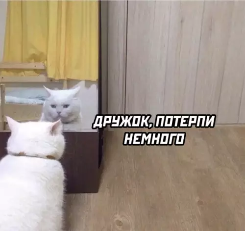 Смешная картинка №601144 Каждое утро перед работой Работа