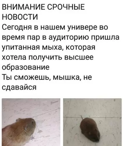 Смешная картинка №262606