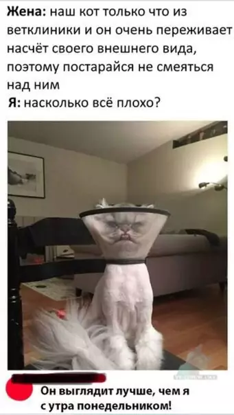 Смешная картинка №316994