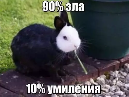 Смешная картинка №263541