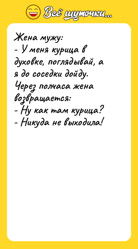Жена мужу: - У меня курица в духовке, поглядывай,