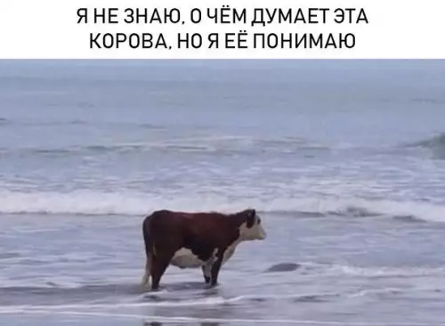 Смешная картинка №298571