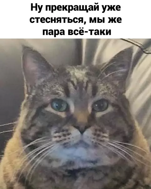 продолжение Смешная картинка №559530 Coвмecтнaя жизнь