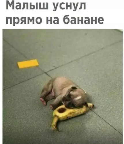 Смешная картинка №215789