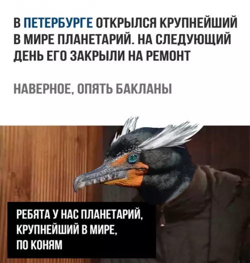 Смешная картинка №220085