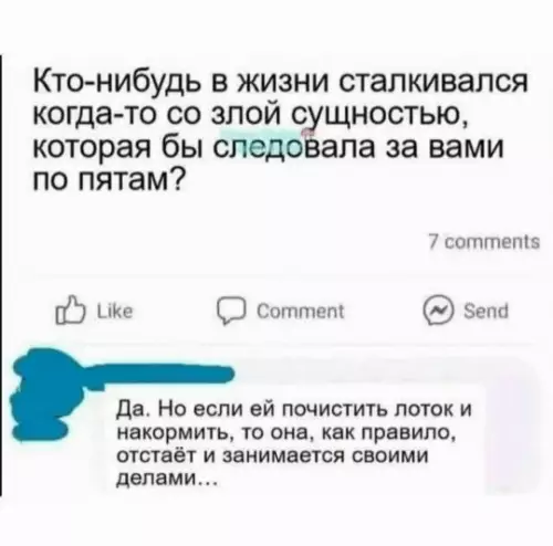 Как приручить злую сущность 🐈‍⬛✨ - Кто-нибудь в жизни сталкивался когда-то со злой сущностью, которая бы
