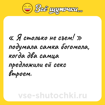 Шутка: « Я столько не съем! » подумала самка богомола, когда два самца предложили ей cекc втроем.