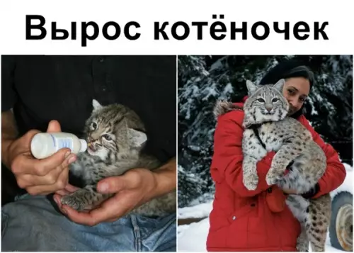 Смешная картинка №355359