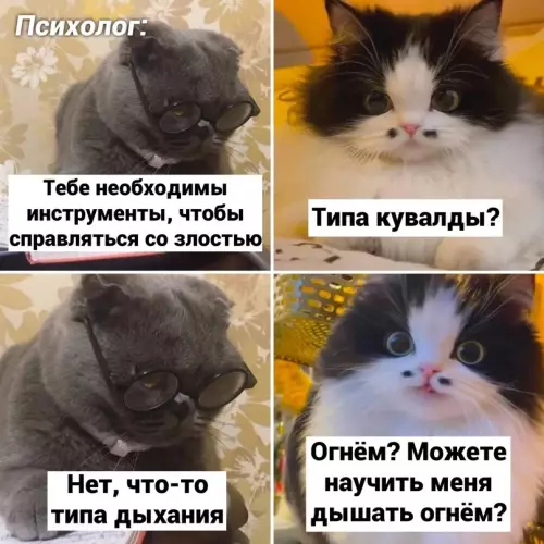 Смешная картинка №657931