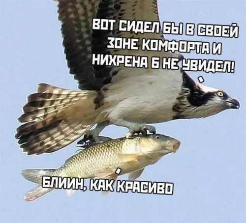 Смешная картинка №474140 Важное напоминание : если не выходить из зоны комфорта, то будет... комфортно