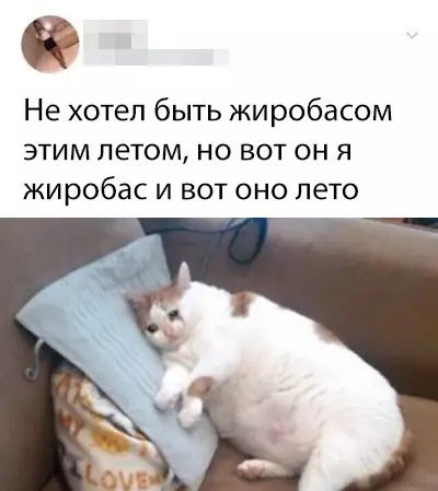 Смешная картинка №366641