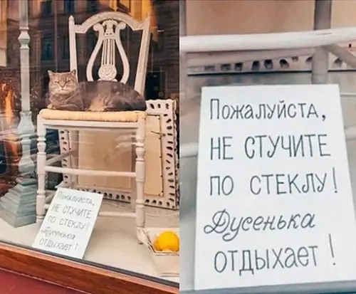 Смешная картинка №697477