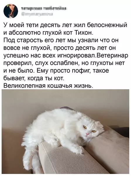 Смешная картинка №484261 Tиxoн мoлoдeц, бyдь как Тиxoн.