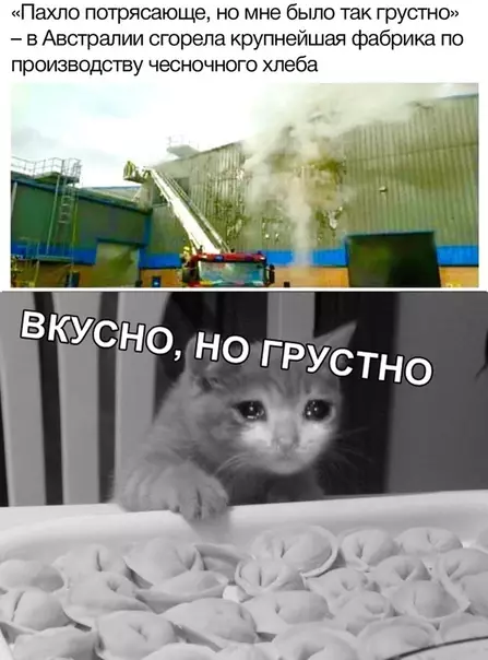 Смешная картинка №340002