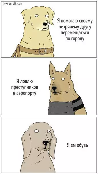 Смешная картинка №195285