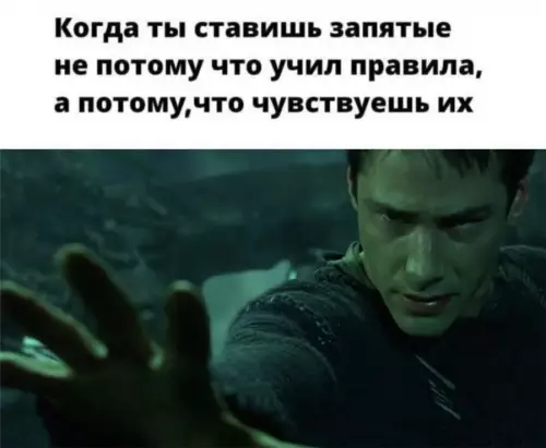 Грамотность на уровне бог ✨ - Когда ты ставишь запятые не потому что учил правила, а