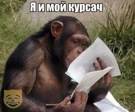 Смешная картинка №480427 #приколы #картинки #мемы ?