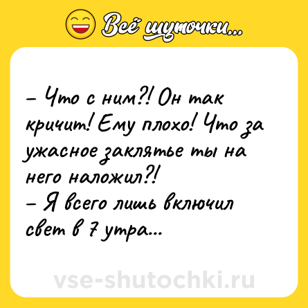 Шутка: – Что с ним?! Он так кричит! Ему плохо! Что за ужасное заклятье ты на него наложил?!<br>– Я всего лишь включил свет в 7 утра...