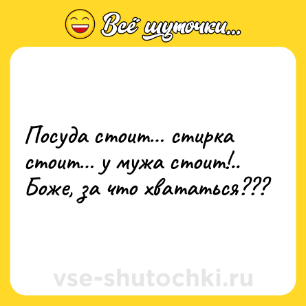 Шутка: Посуда стоит… стирка стоит… у мужа стоит!.. <br>Боже, за что хвататься???