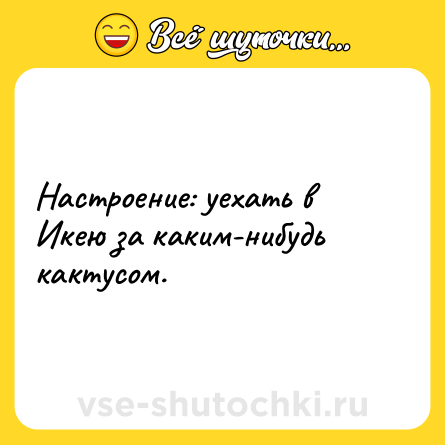 Шутка: Настроение: уехать в Икею за каким-нибудь кактусом.