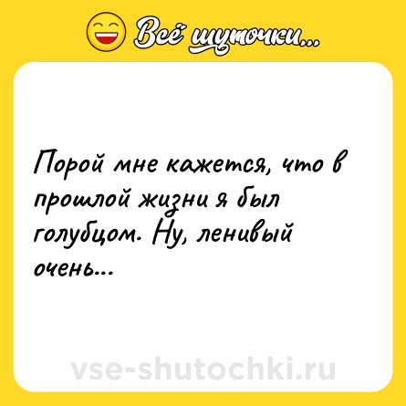 Шутка: Порой мне кажется, что в прошлой жизни я был голубцом. Ну, ленивый очень...