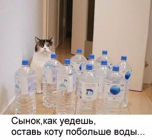 Смешная картинка №243931