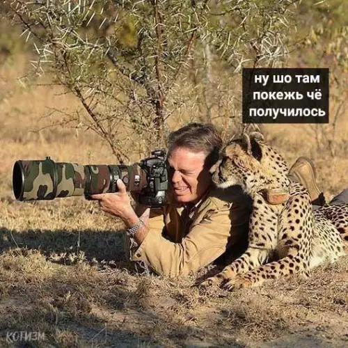Смешная картинка №491782 Я и фотогеничность