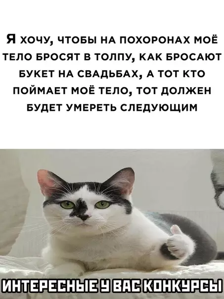 Смешная картинка №515065