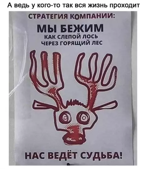 Смешная картинка №522636 У самурая нет цели. Только путь.