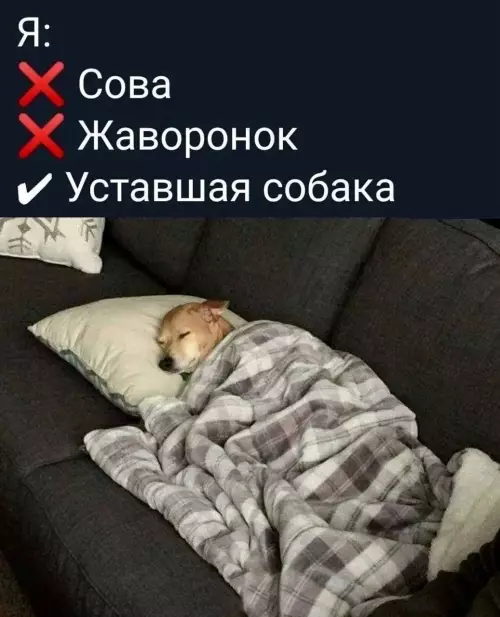 Смешная картинка №790485