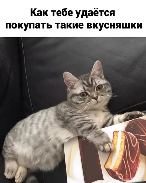 Смешная картинка №569447