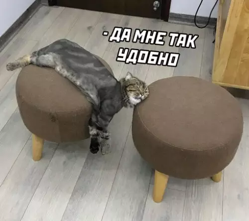 Смешная картинка №679865