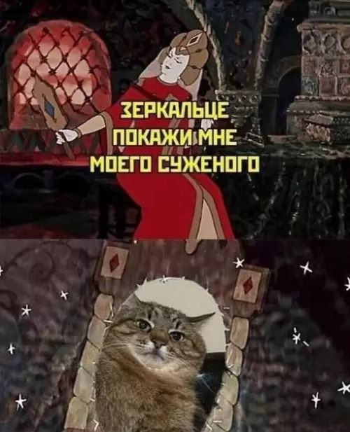 Смешная картинка №708619