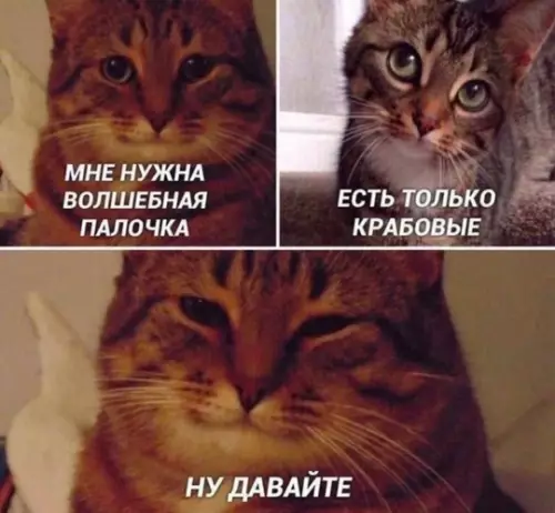 Смешная картинка №785117