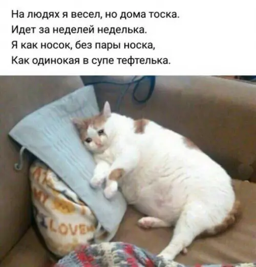 Смешная картинка №413409