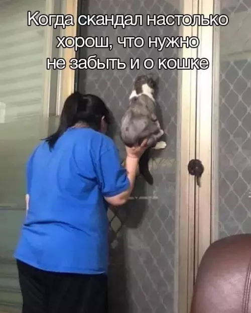 Смешная картинка №691114 соседи
