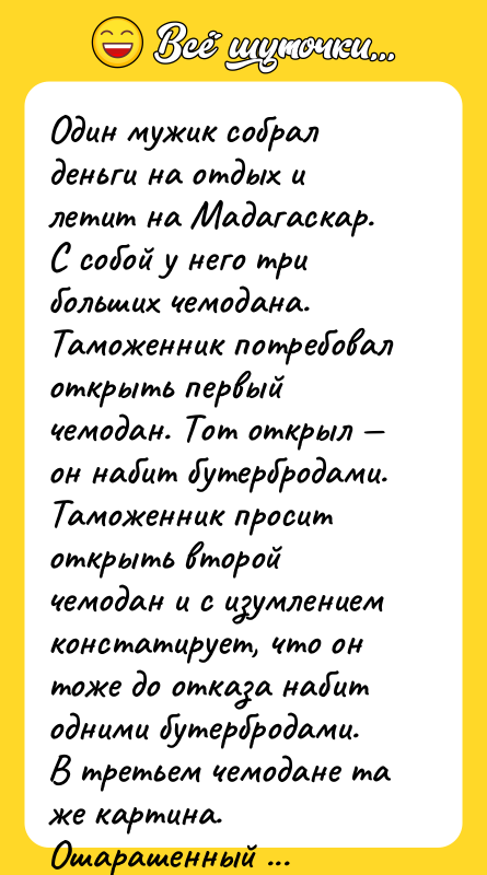 Один мужик собрал деньги на отдых и летит на Мадагаскар.