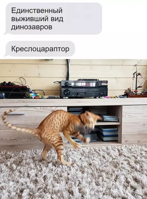 Смешная картинка №699836