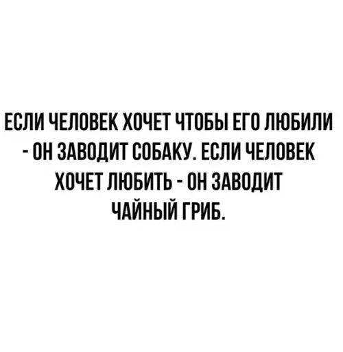 Смешная картинка №539041