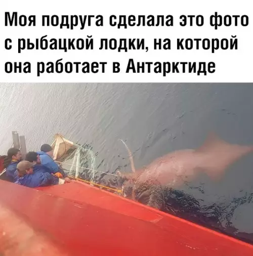Смешная картинка №353083 Это же сколько пива под него надо?