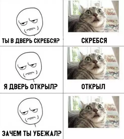 Смешная картинка №312475