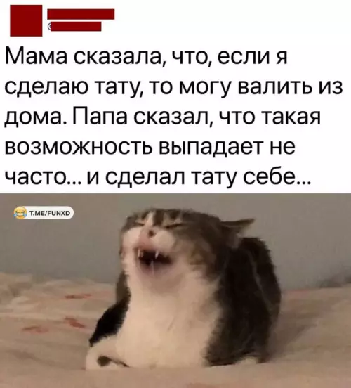 Смешная картинка №690533