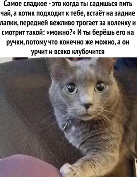 Смешная картинка №554146