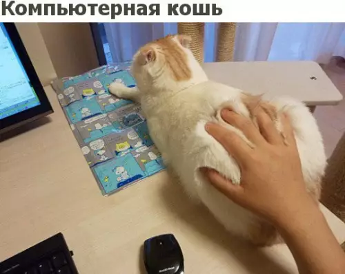 Смешная картинка №210697